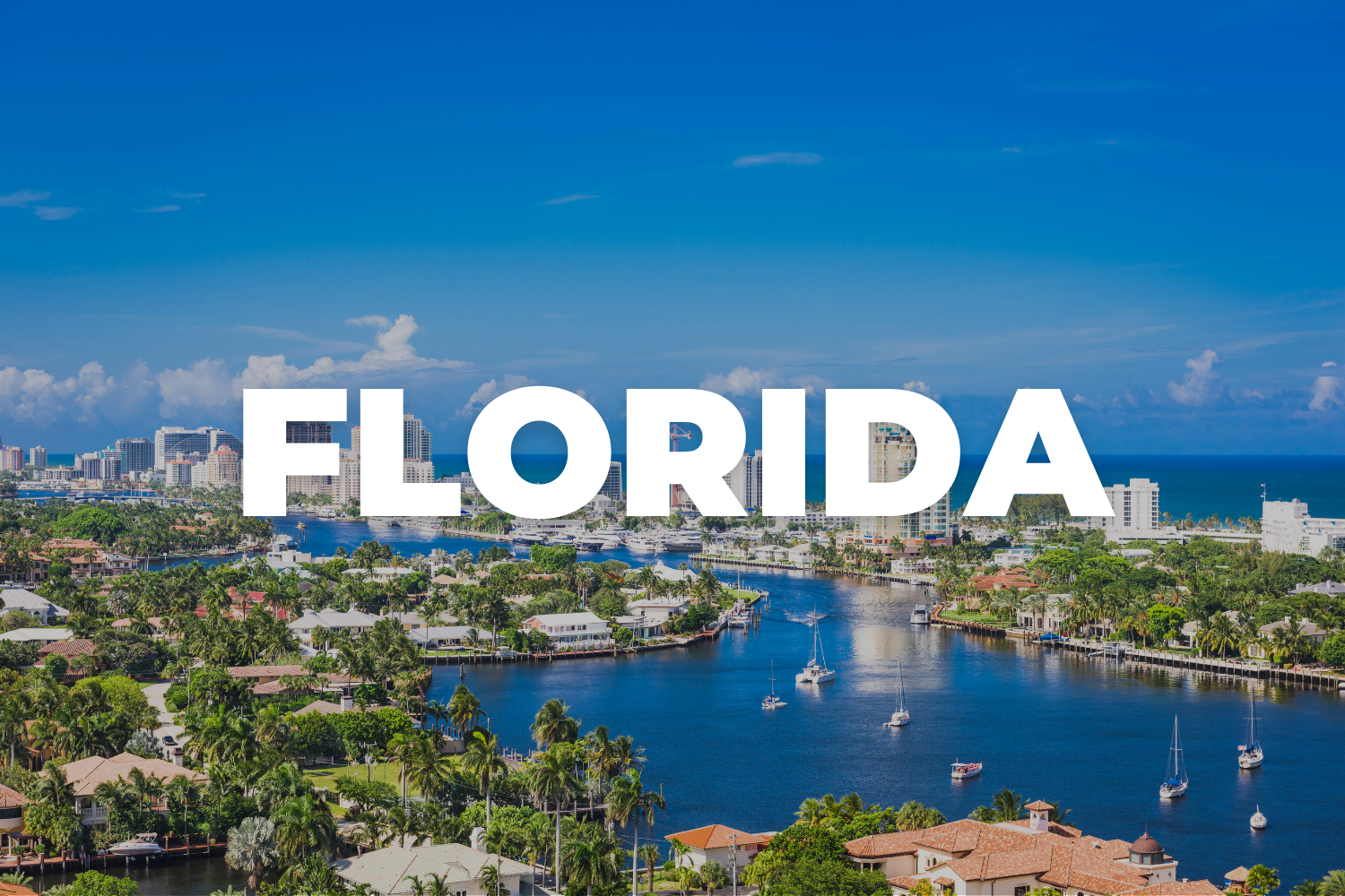 Florida Background