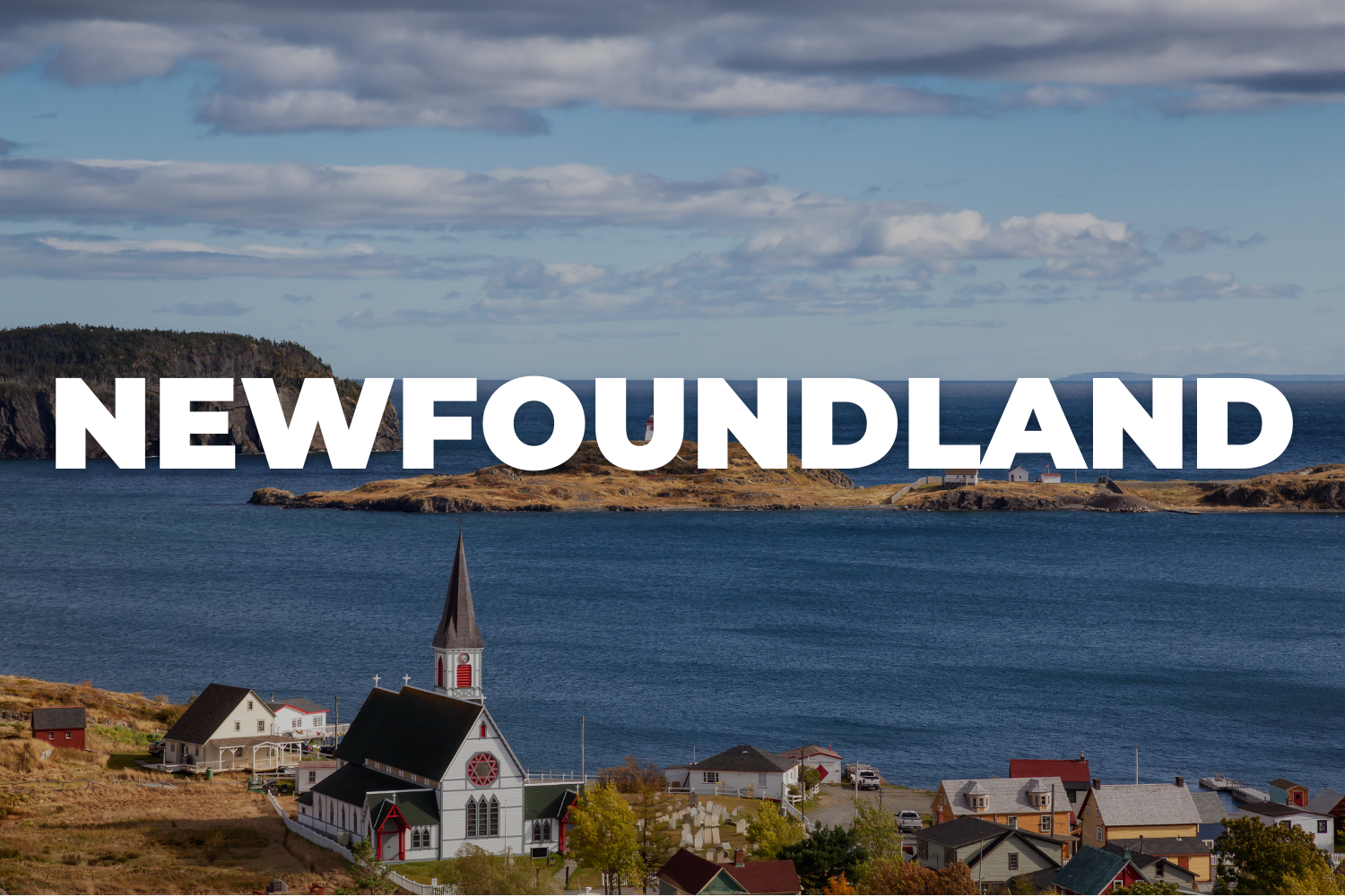 Newfoundland Background